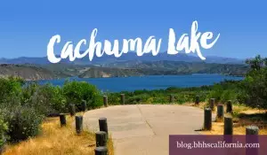 Cachuma Lake nature cruise