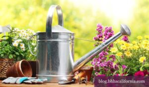 OC Home and Garden Show