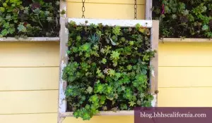 LA Gardening workshop
