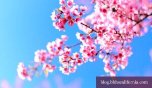 Los Angeles County events