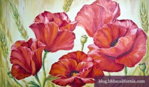 San Diego County events