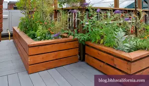 Southern California gardening trends