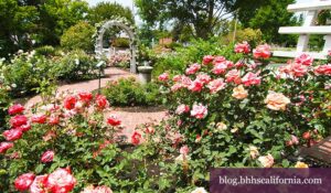 Santa Barbara events