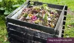 How to Be More Sustainable in 2022: Composting