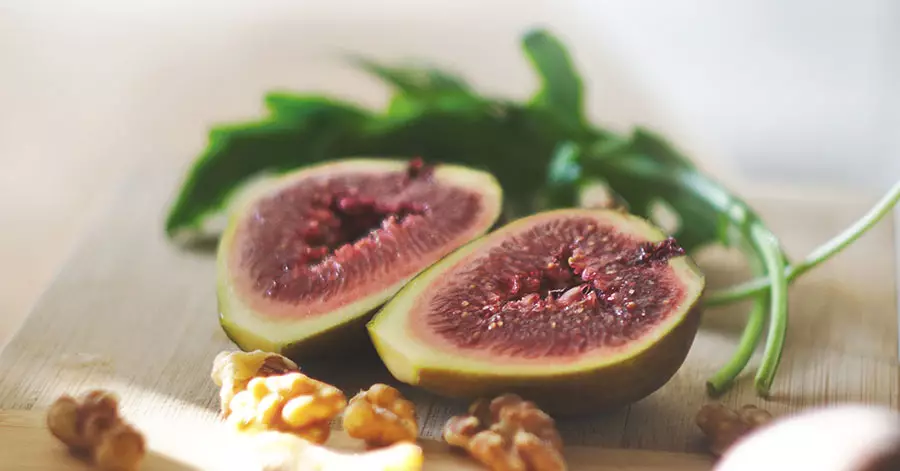 fig-tree-fruit-tree