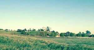 vineyard property