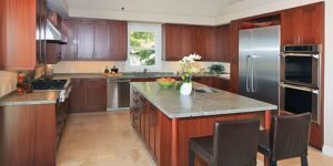 Gourmet kitchens in Laguna Beach homes