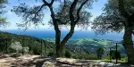 From Vision to Reality: A Santa Barbara Real Estate Agent's Guide to Flipping Houses