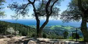 Goleta real estate agent