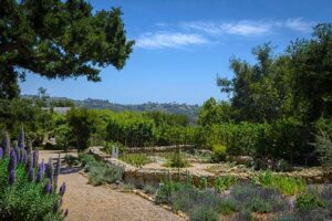 Montecito real estate