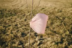 plastic-bag-ban