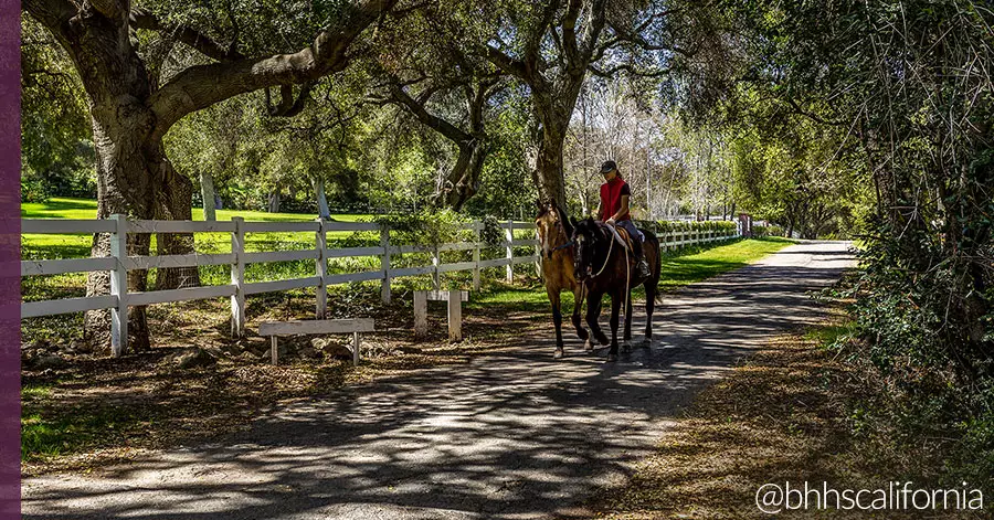 equestrian-homes-for-sale