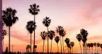 Springtime Optimism Blooms in Southern California Real Estate Market