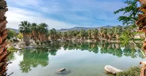 916-andreas-canyon-drive