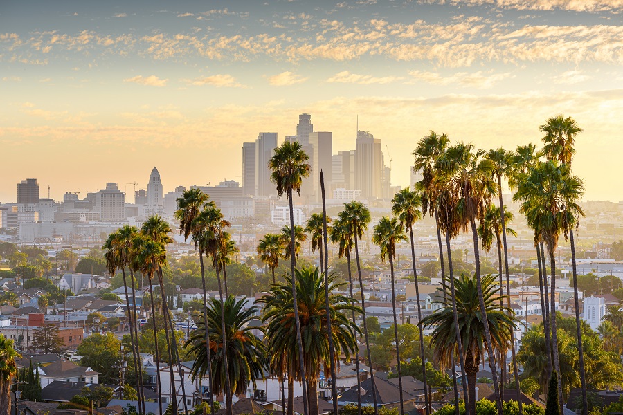 Cityscape view of palm trees and buildings in Los Angeles, California