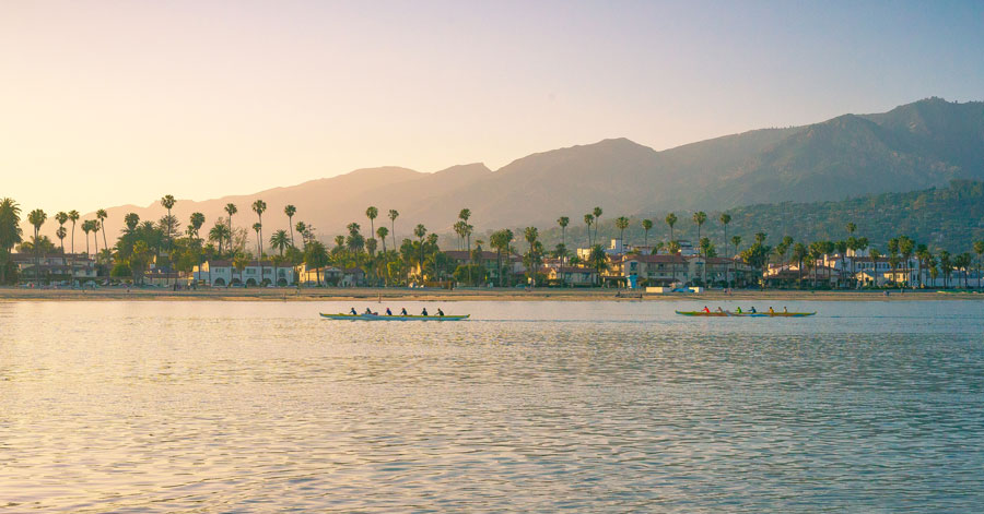 Rowers in the Santa Barbara Harbor with palm trees, buildings, and mountains in the background 