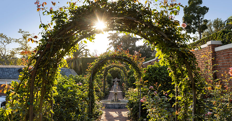 Arches made with roses lead to a stone fountain surrounded by more roses 