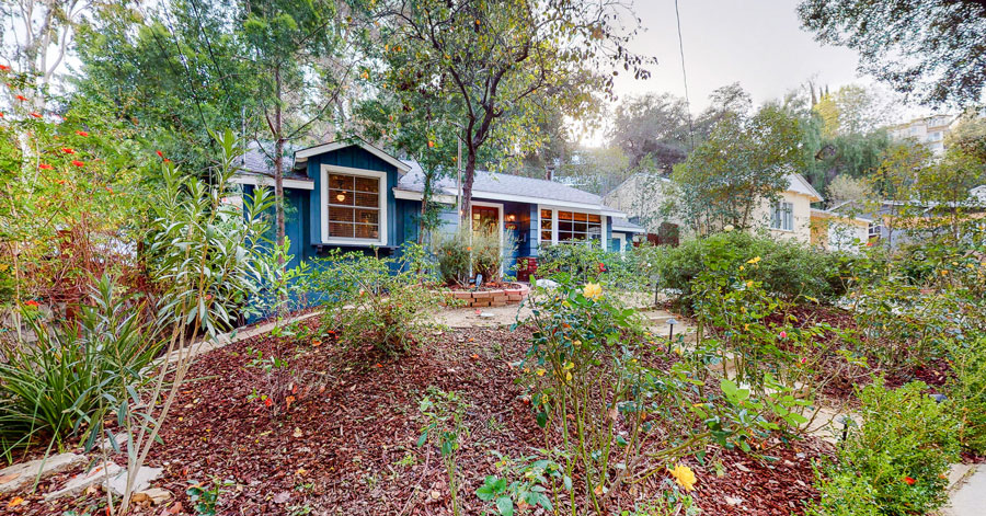 remodeled blue house surrounded by lush and colorful landscaping