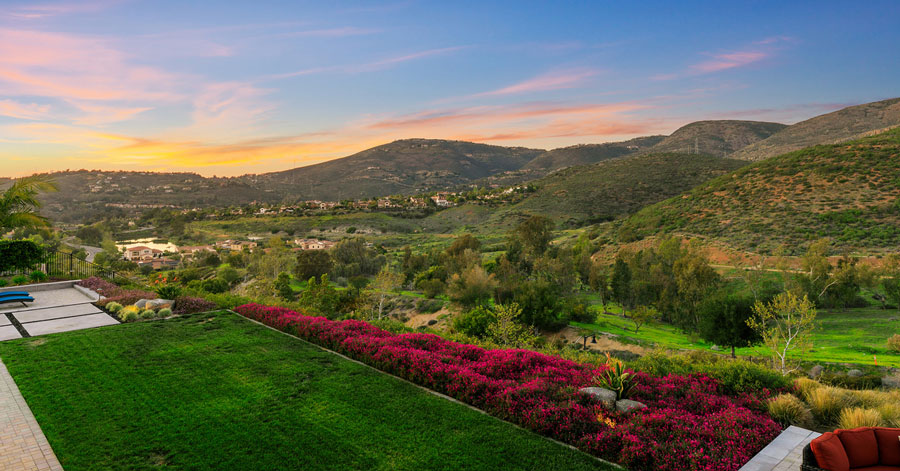 Lush green grass, fuchsia flowering plants, and dreamy mountains and sunset in the distance 