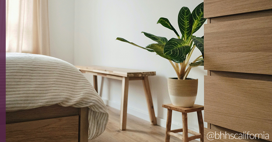 Interior of bedroom with neutral decor and a medium sized house plant on a stool 