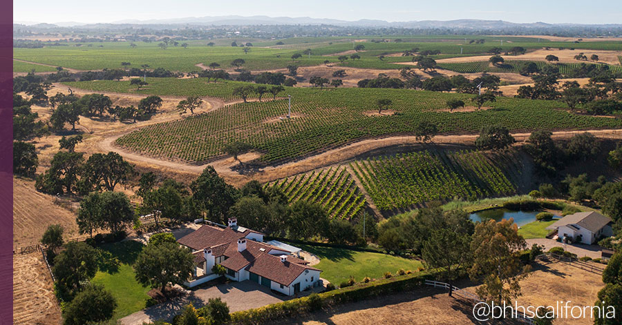 Aerial of Santa Ynez luxury home and its producing Sangiovese vineyard