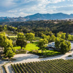 Productive Vineyard in Los Olivos Lists for $9.9 Million